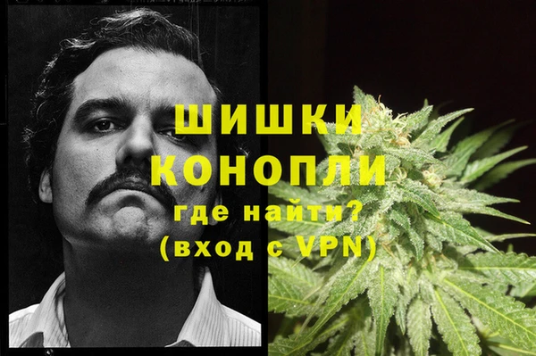 индика Магадан