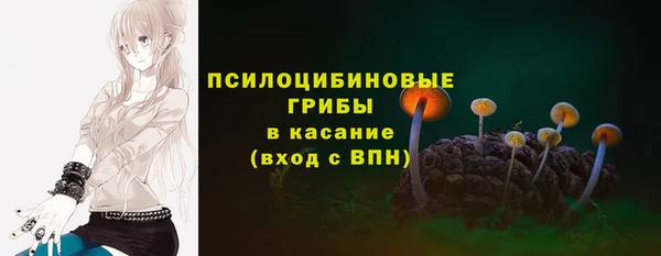 индика Магадан