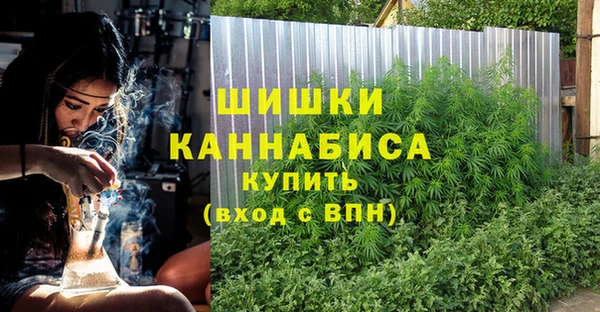 тгк Майский
