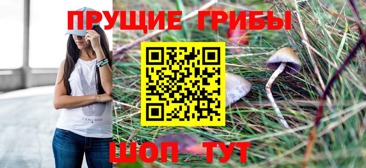 Галлюциногенные грибы мицелий  Вход с VPN  Железноводск 