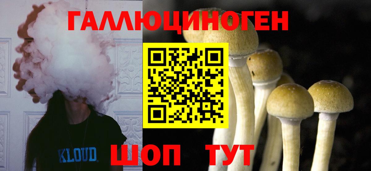 Галлюциногенные грибы Magic Shrooms Железноводск