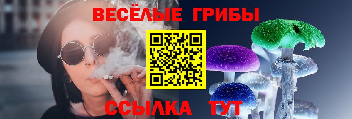 Галлюциногенные грибы Psilocybe  Железноводск 